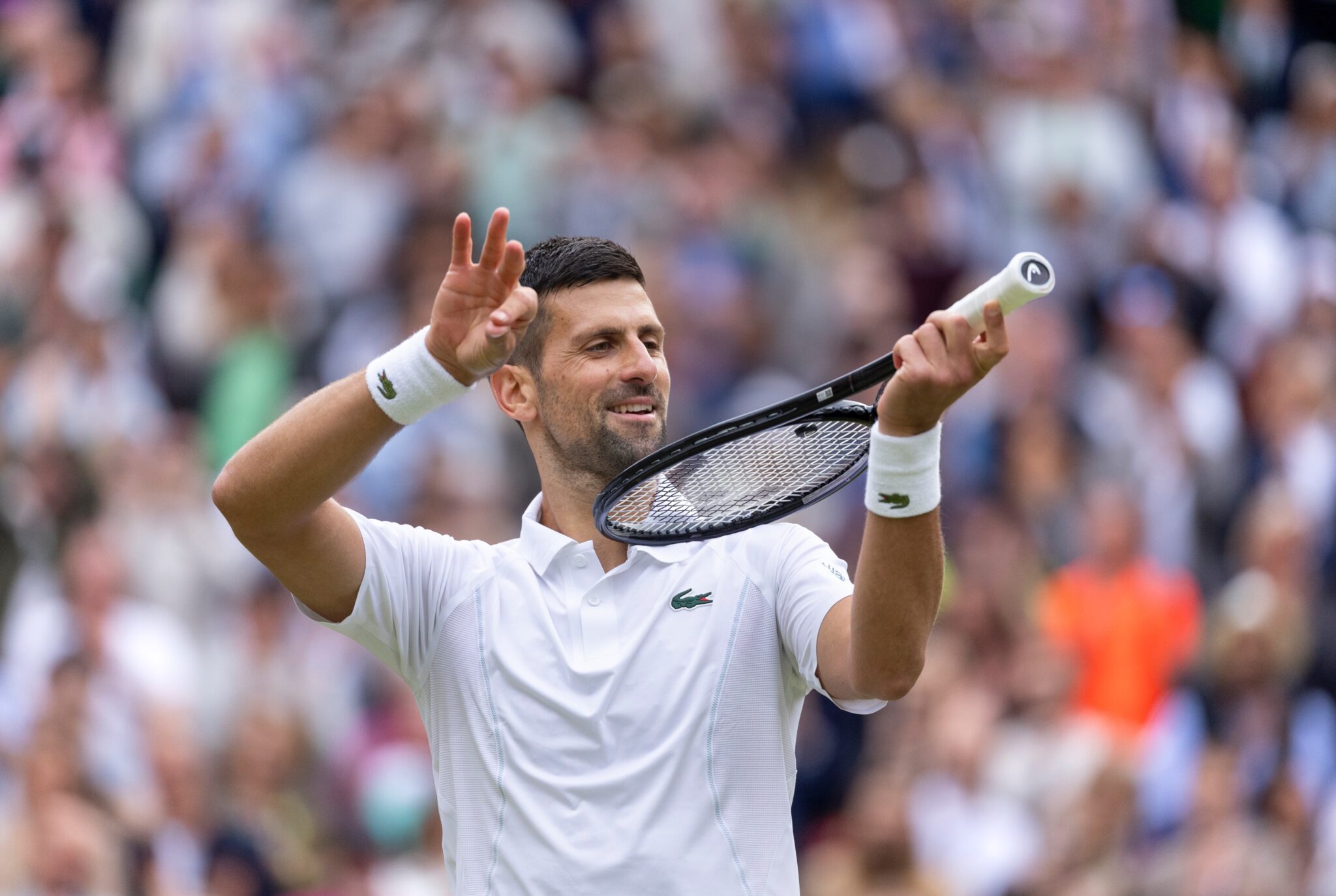 Wimbledon Daily Preview Novak Djokovic Plays Carlos Alcaraz for the